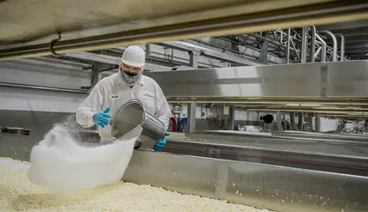 Work in food production plant pouring seasoning from large pot